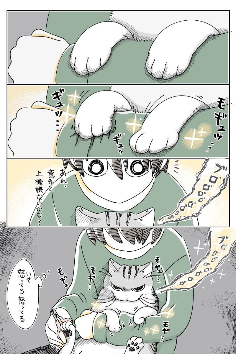 キュルZ tweet media