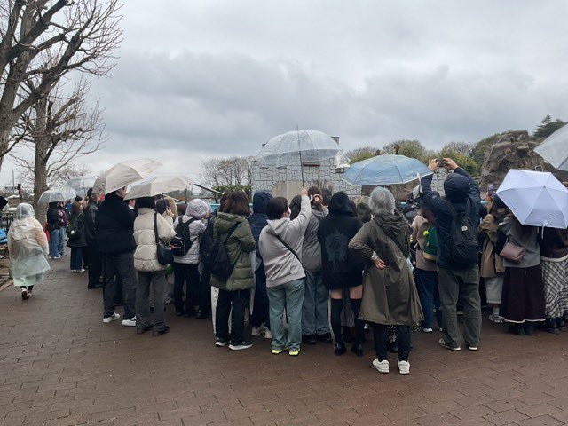 市川市動植物園（公式） tweet media