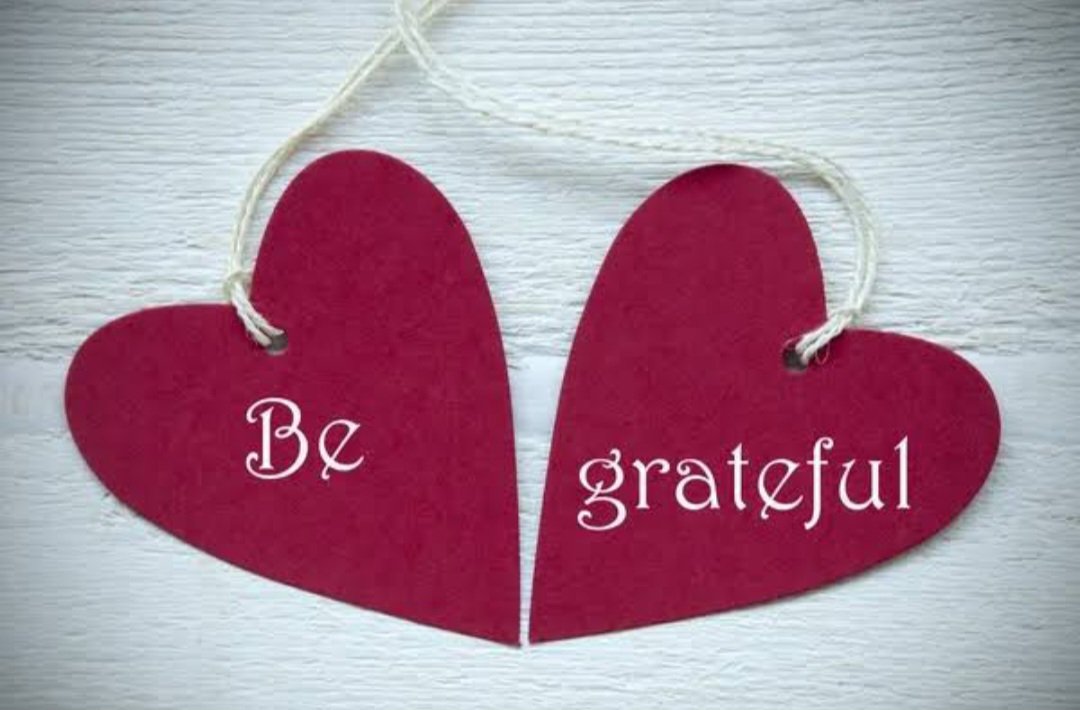 Faith Michael CFC🦋🦋🦋 tweet media