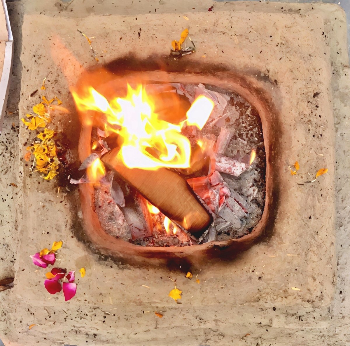 Protagonist tweet media