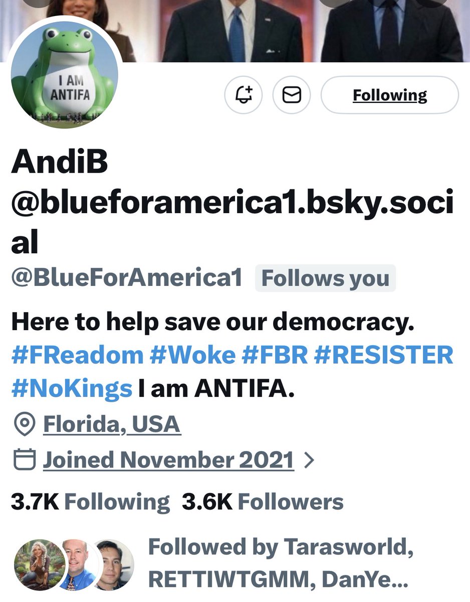 Turquoise Cat tweet media