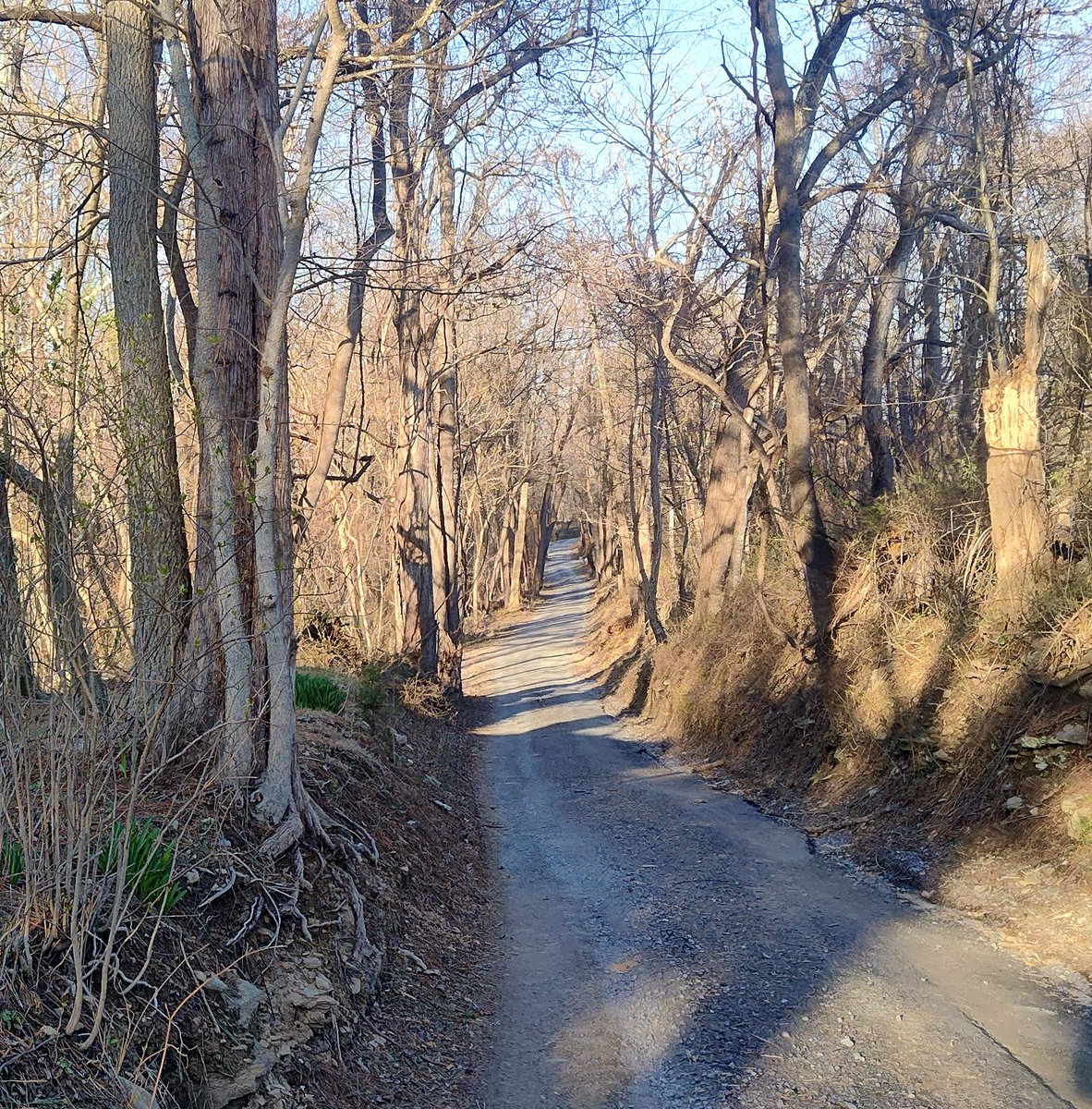 John P. Flannery tweet media