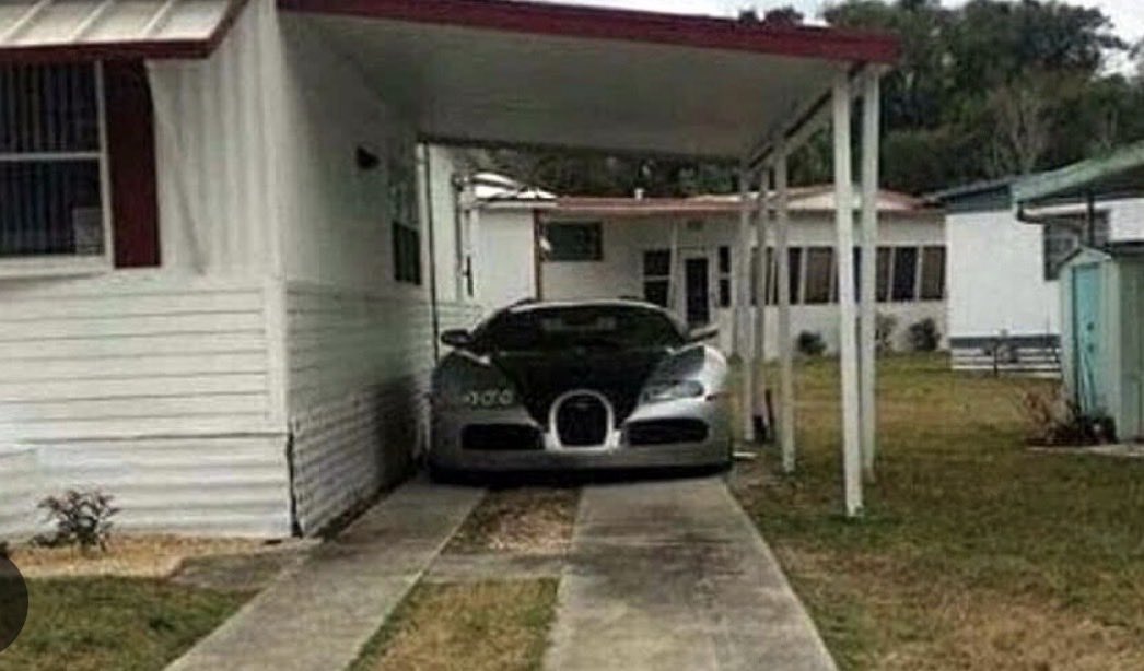 taylor griffin tweet media