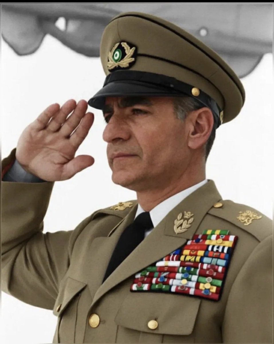 Angie 🕊️ tweet media