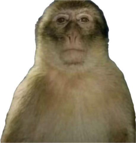 Ryan 🕷️🕸️ tweet media