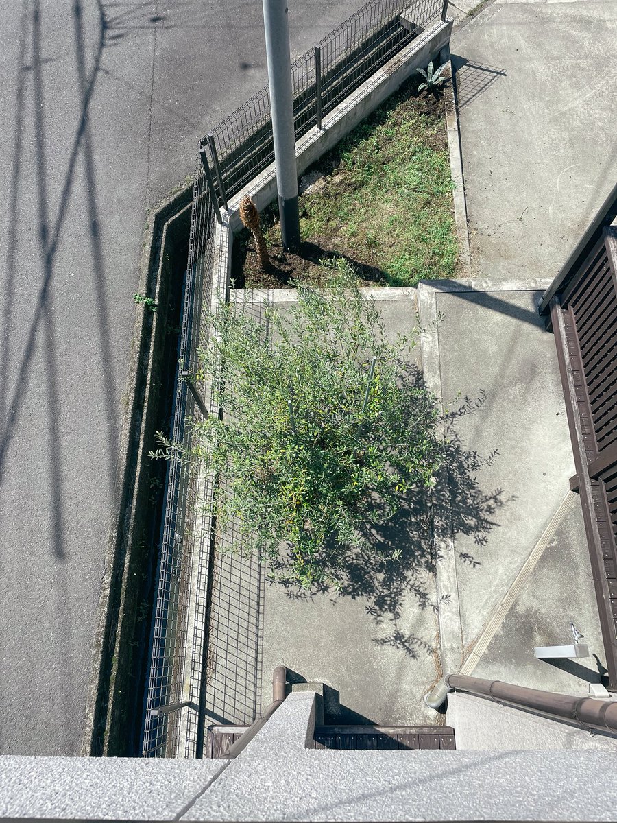 ヤスナガコウユウ tweet media