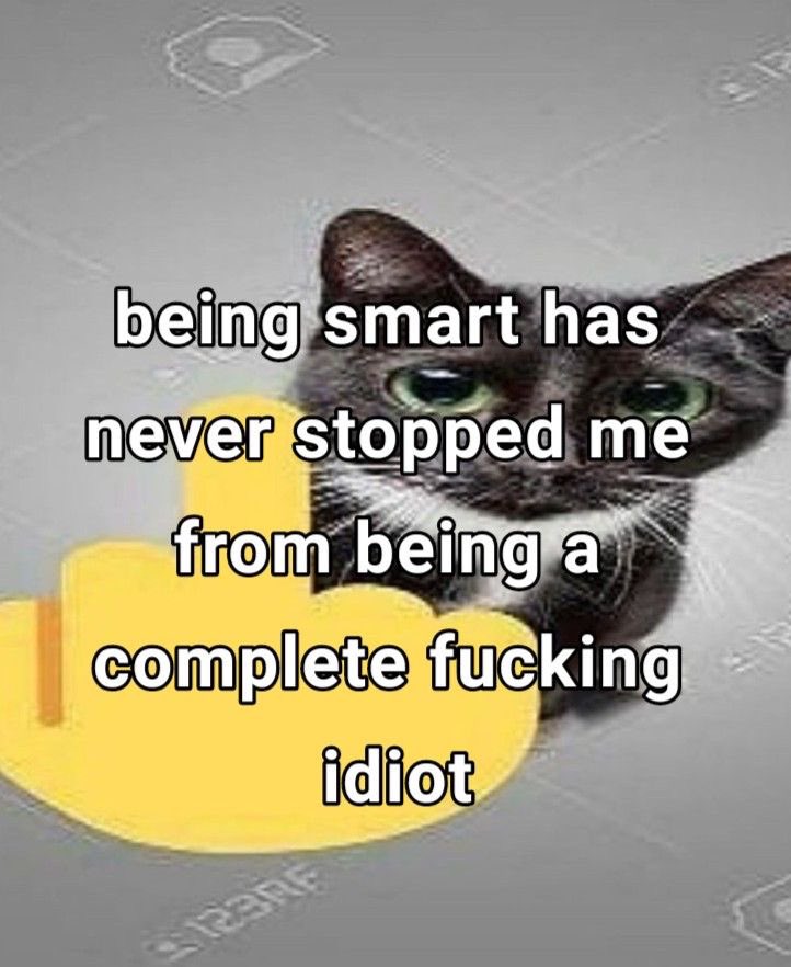 ADHD Memes tweet media