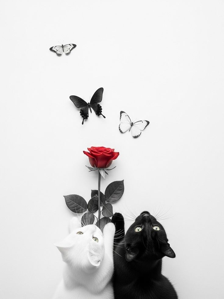 Flowers Magic tweet media