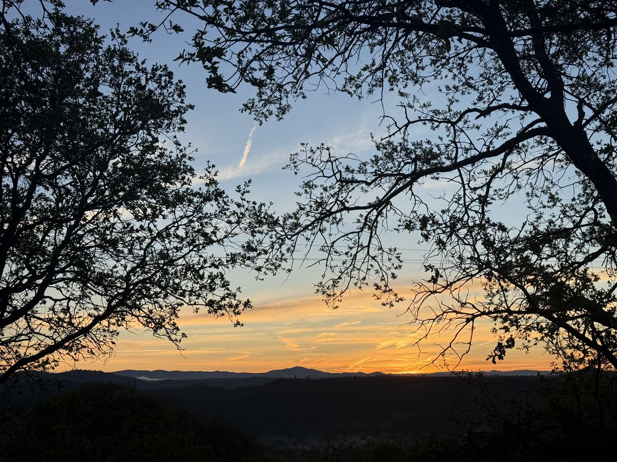 Stewartmolander tweet media