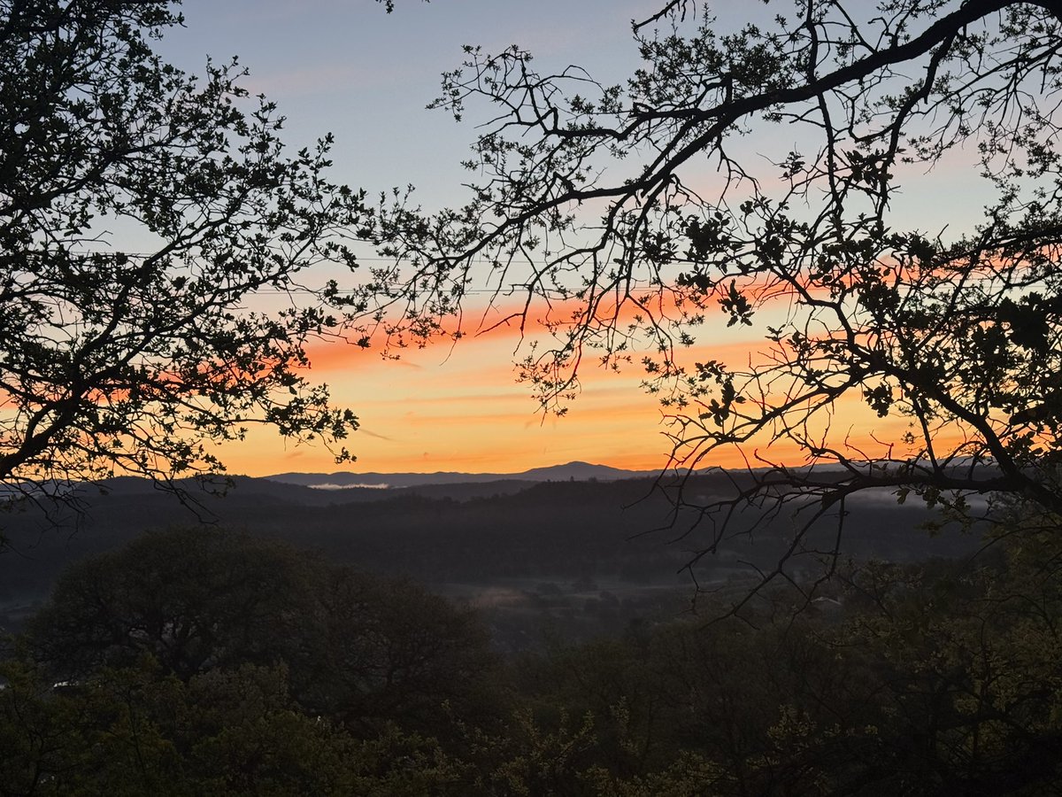 Stewartmolander tweet media