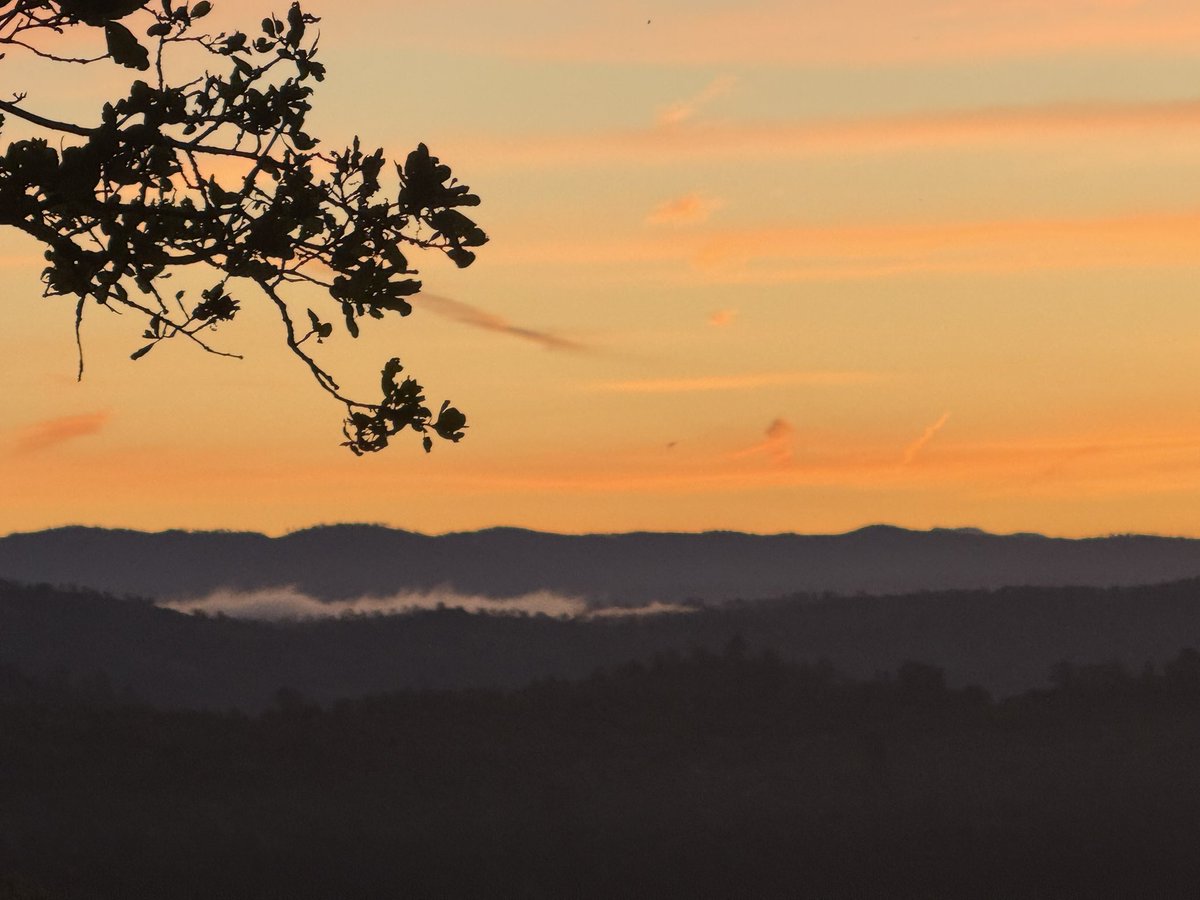 Stewartmolander tweet media