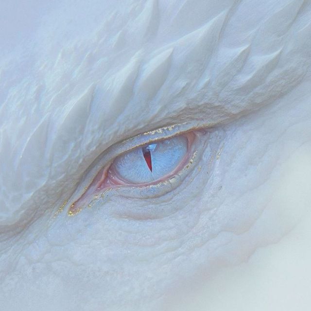 ๐ญ. ๐ฒ๐๐๐๐๐ tweet media