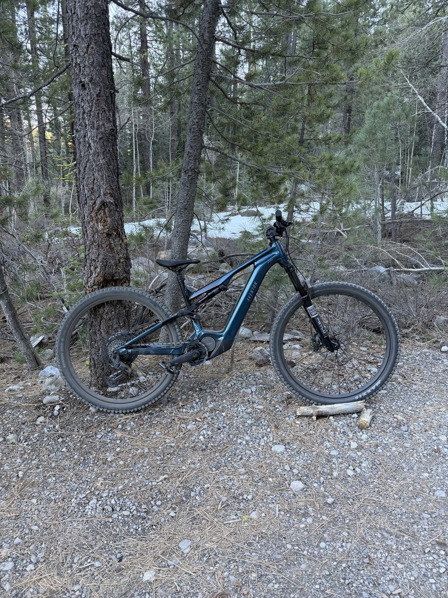 matt lorelli tweet media