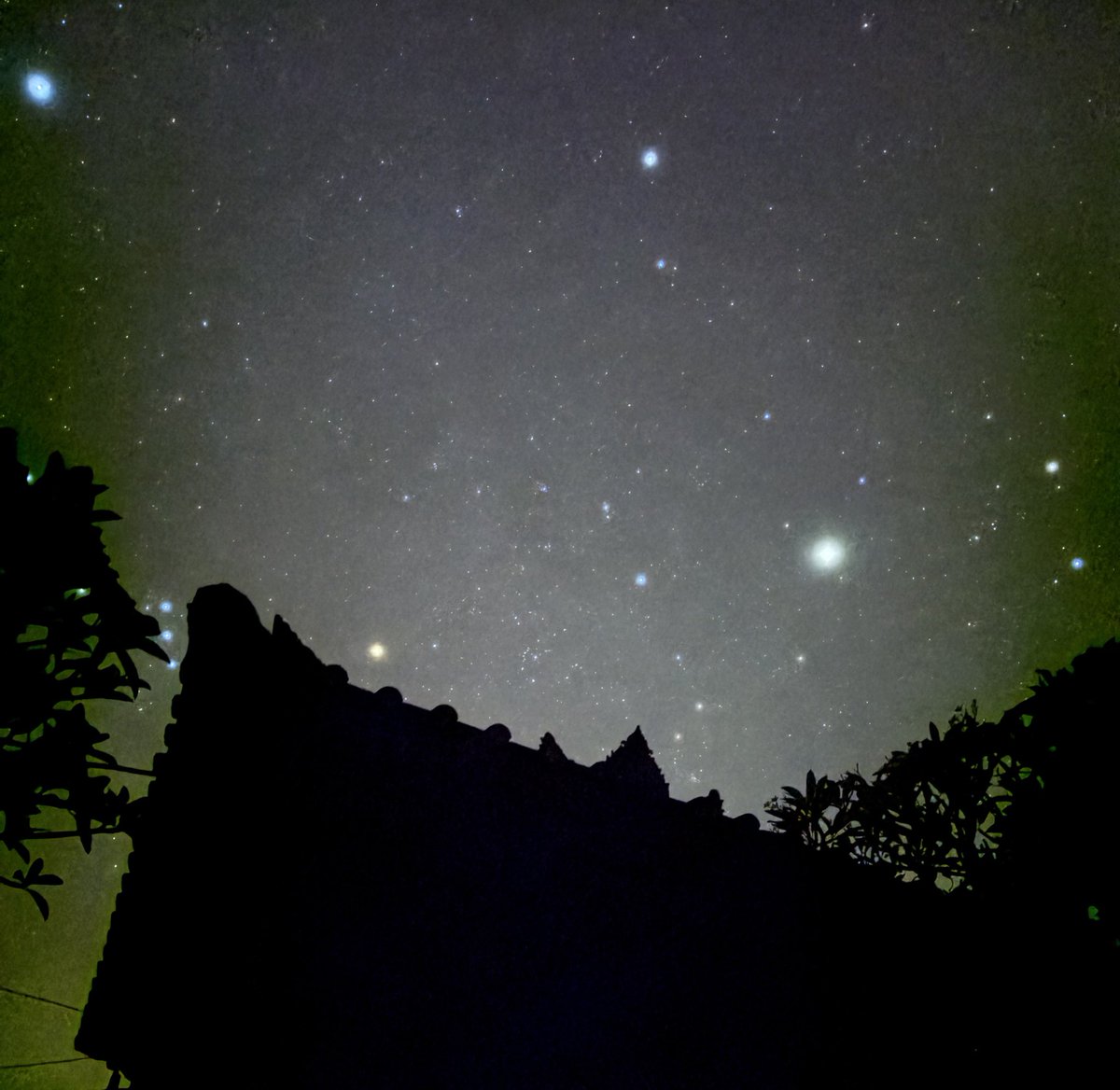 dimsums🍏²⁶ tweet media