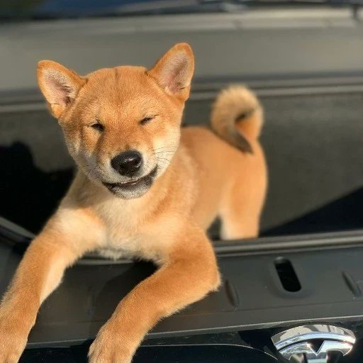 Axioscan XBOT tweet media