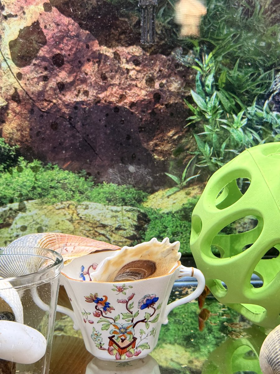 Ruby 🇺🇸 tweet media