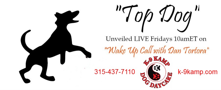 DT Sports Media tweet media