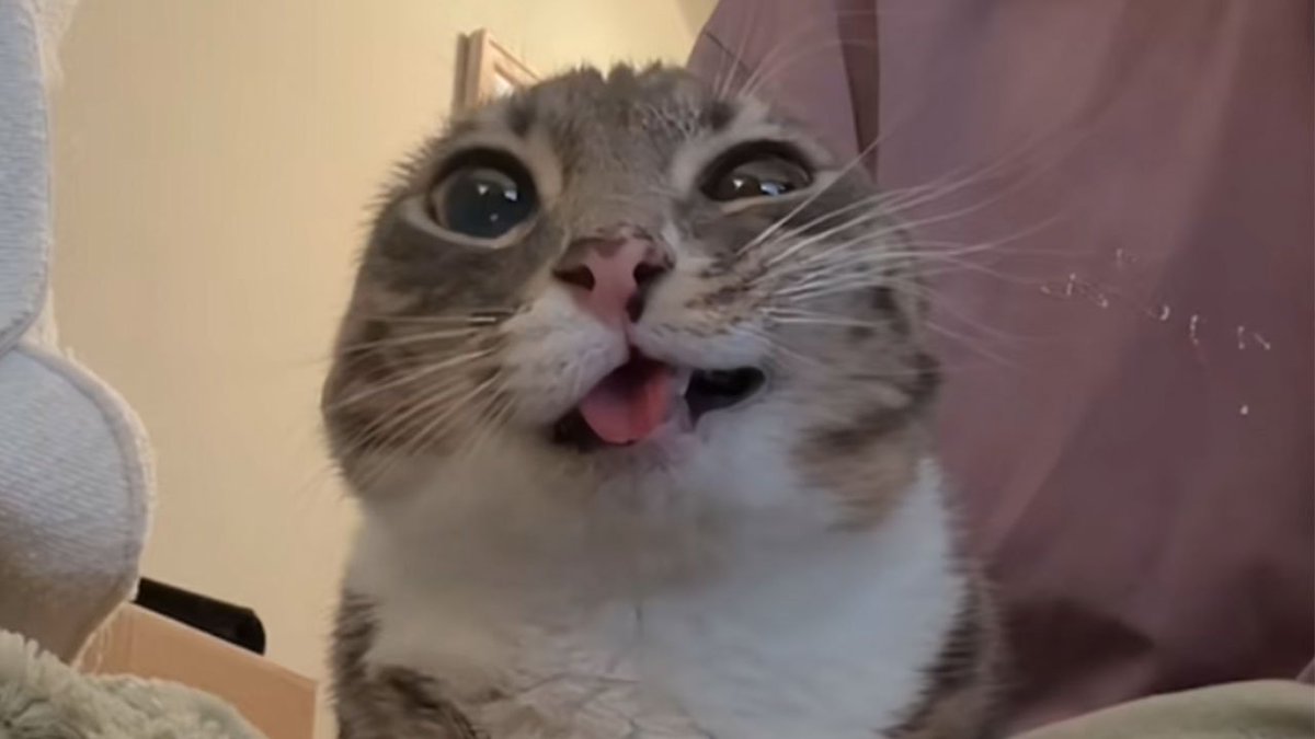 QuickFlow CS tweet media