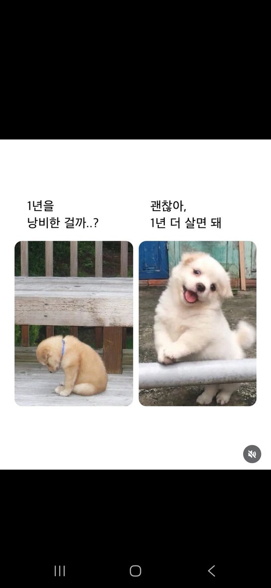 파워제이 | Premium+ tweet media