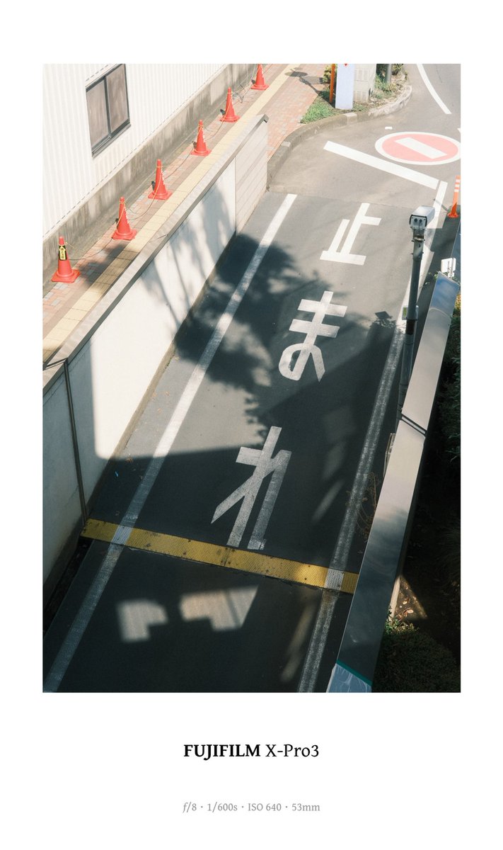 yu-san@街と人々を撮る tweet media