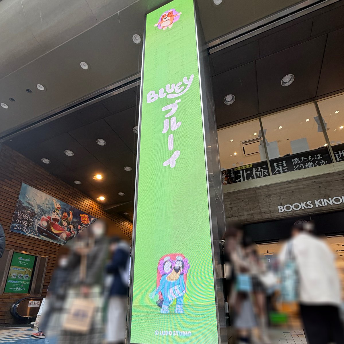 『ブルーイ』公式 tweet media