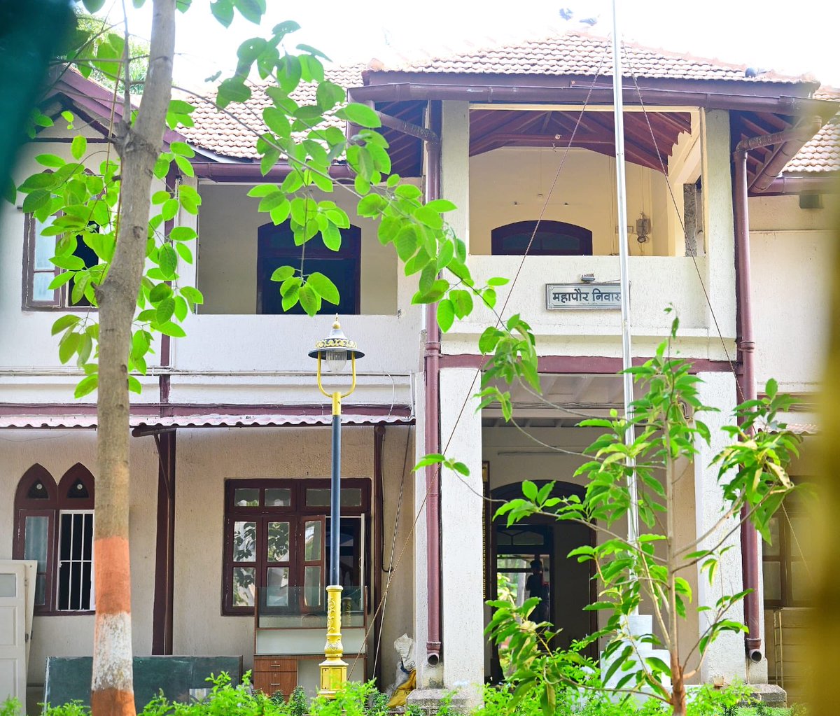 Richa Pinto tweet media