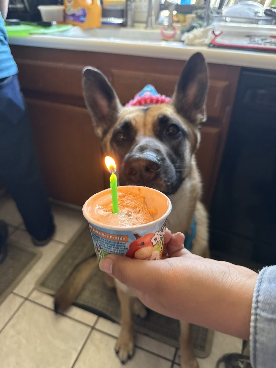 niniᑉ³ tweet media