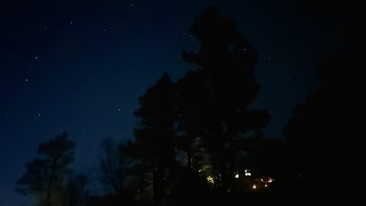 Middleton Whittaker tweet media