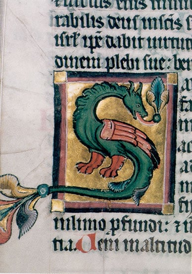 NukeRooster tweet media