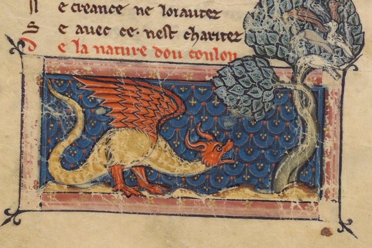 NukeRooster tweet media