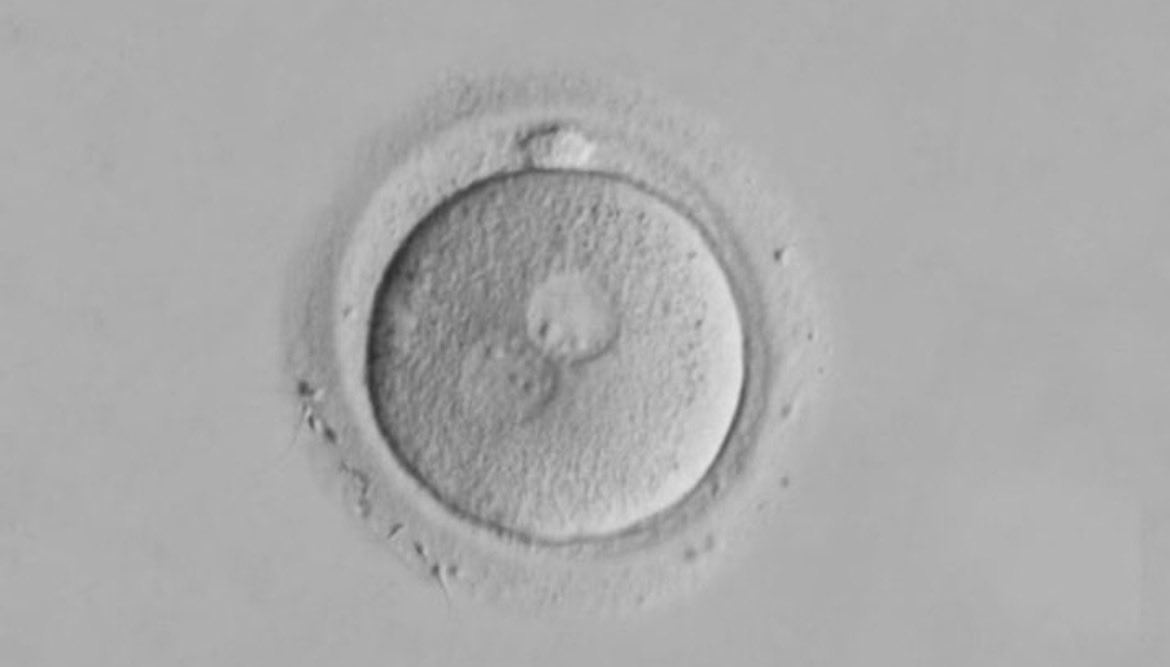 Ben Zeisloft tweet media