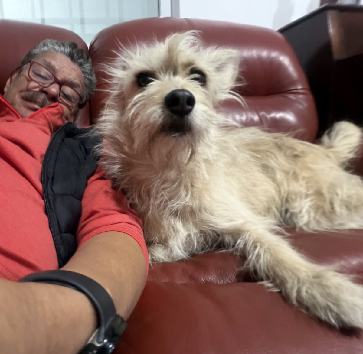 Doc de la viscera magna tweet media