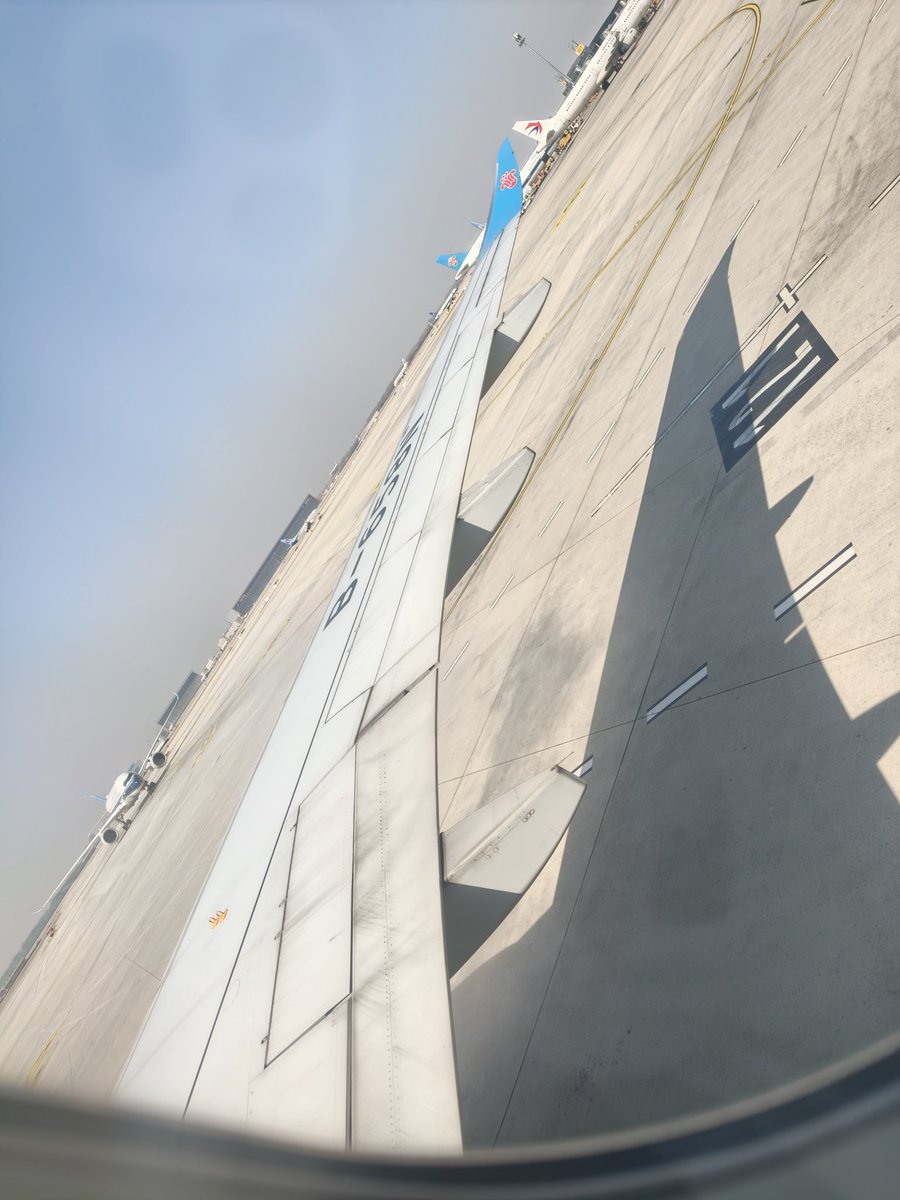 江灵夏草 tweet media