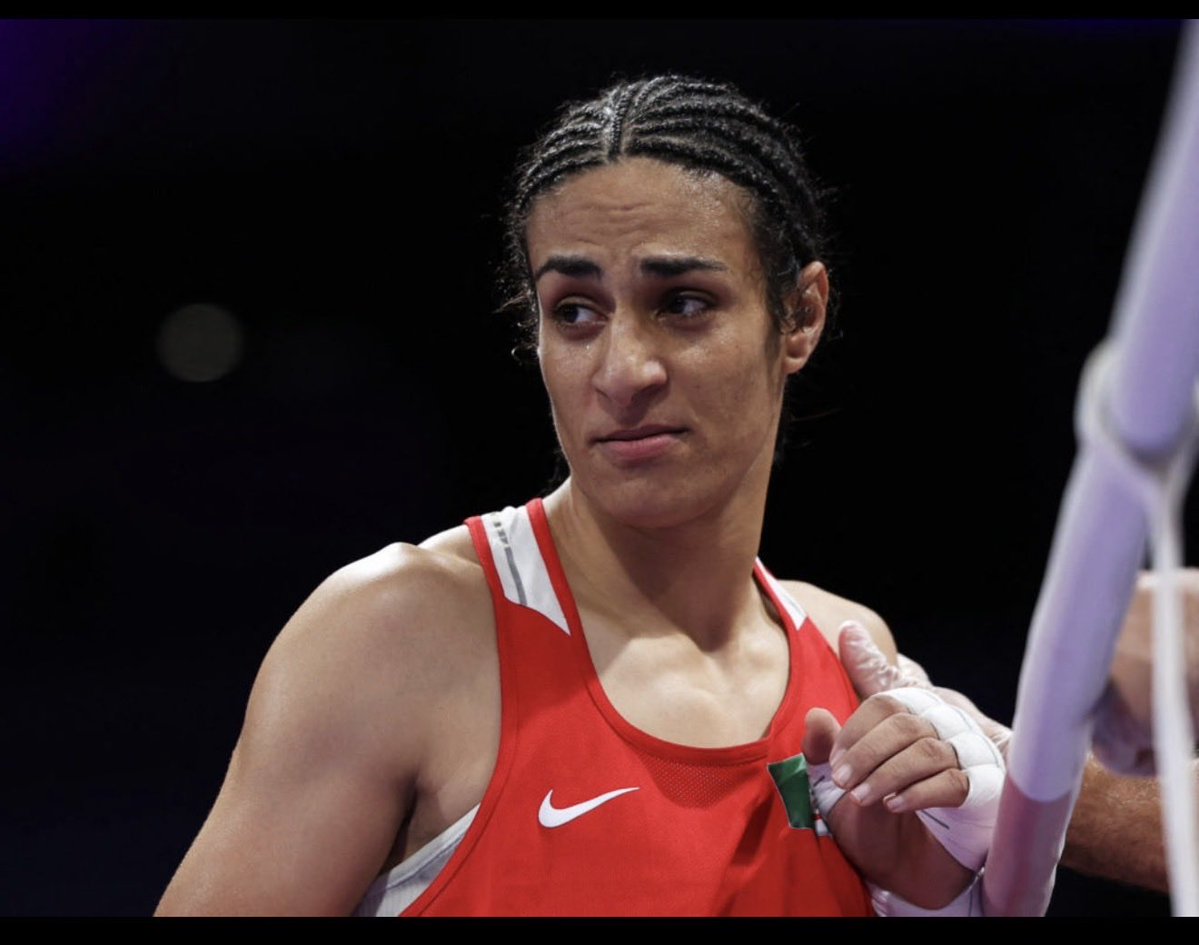 Man of the Library 📚 tweet media