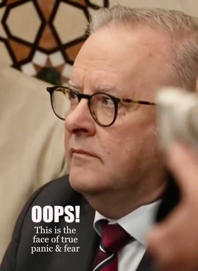 Moondani tweet media