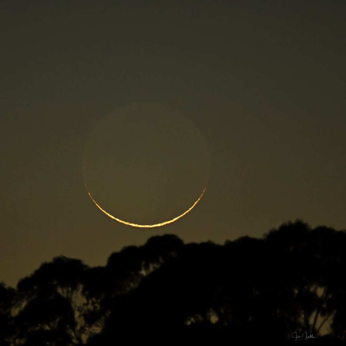 Jan Null tweet media