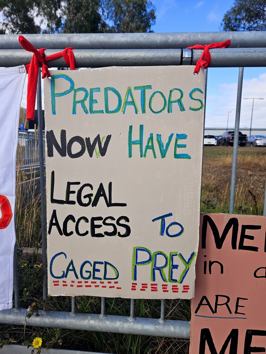 Juanita21stCenturySuffragette tweet media