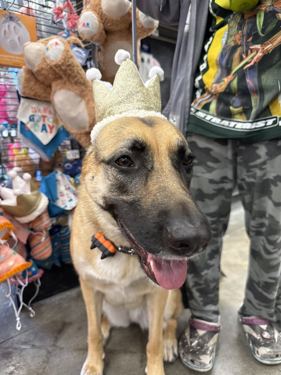 niniᑉ³ tweet media