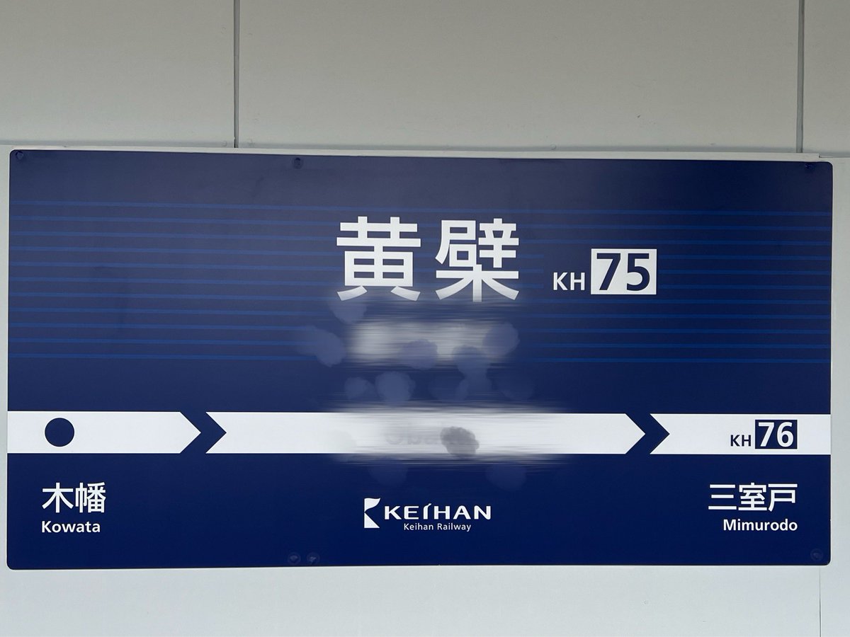 コウモリ tweet media