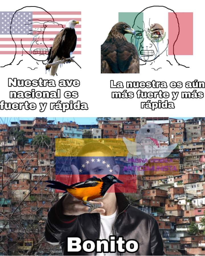 Bocchaed al-Dazzlhavi | 🇻🇪🇮🇷 tweet media