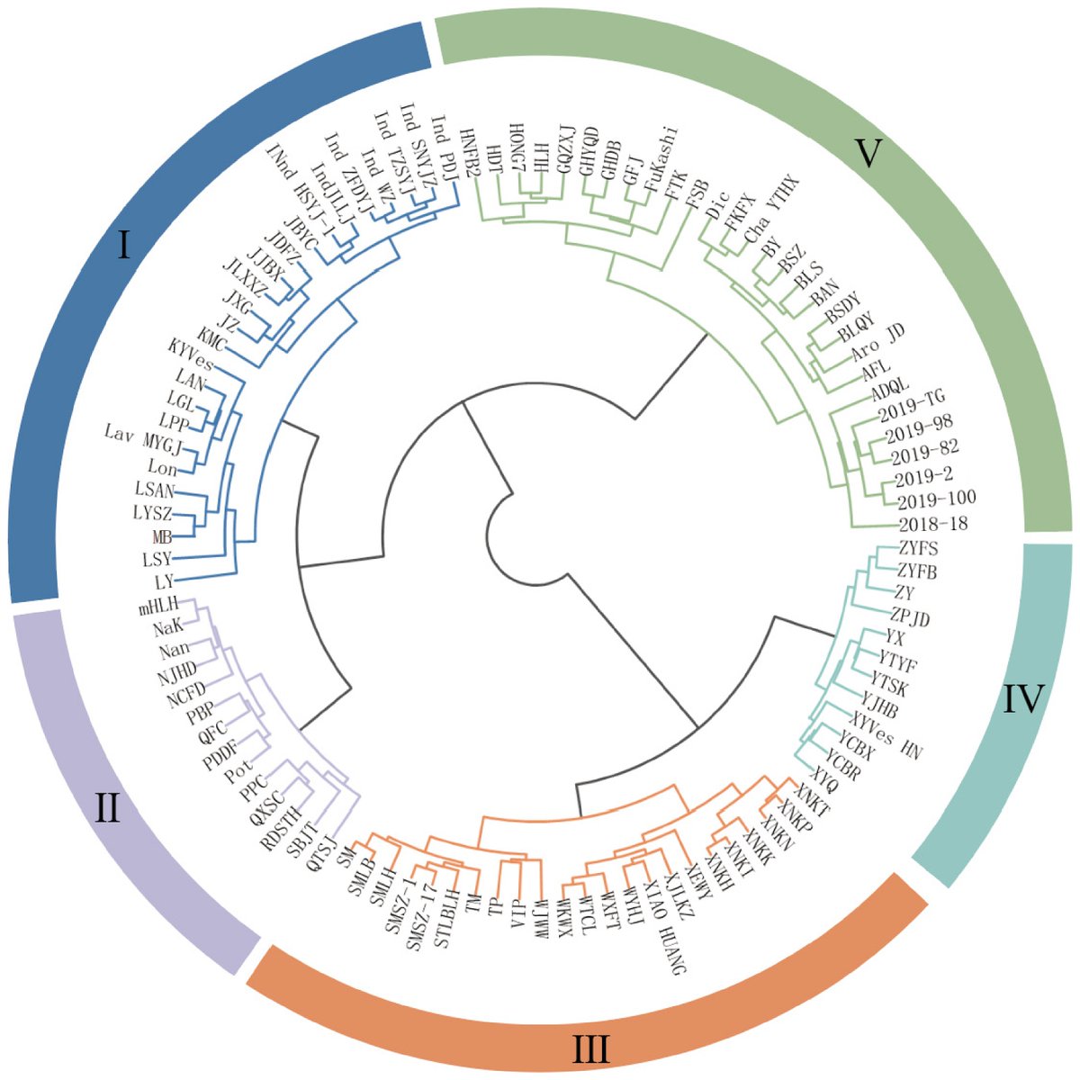 Maximum Academic tweet media