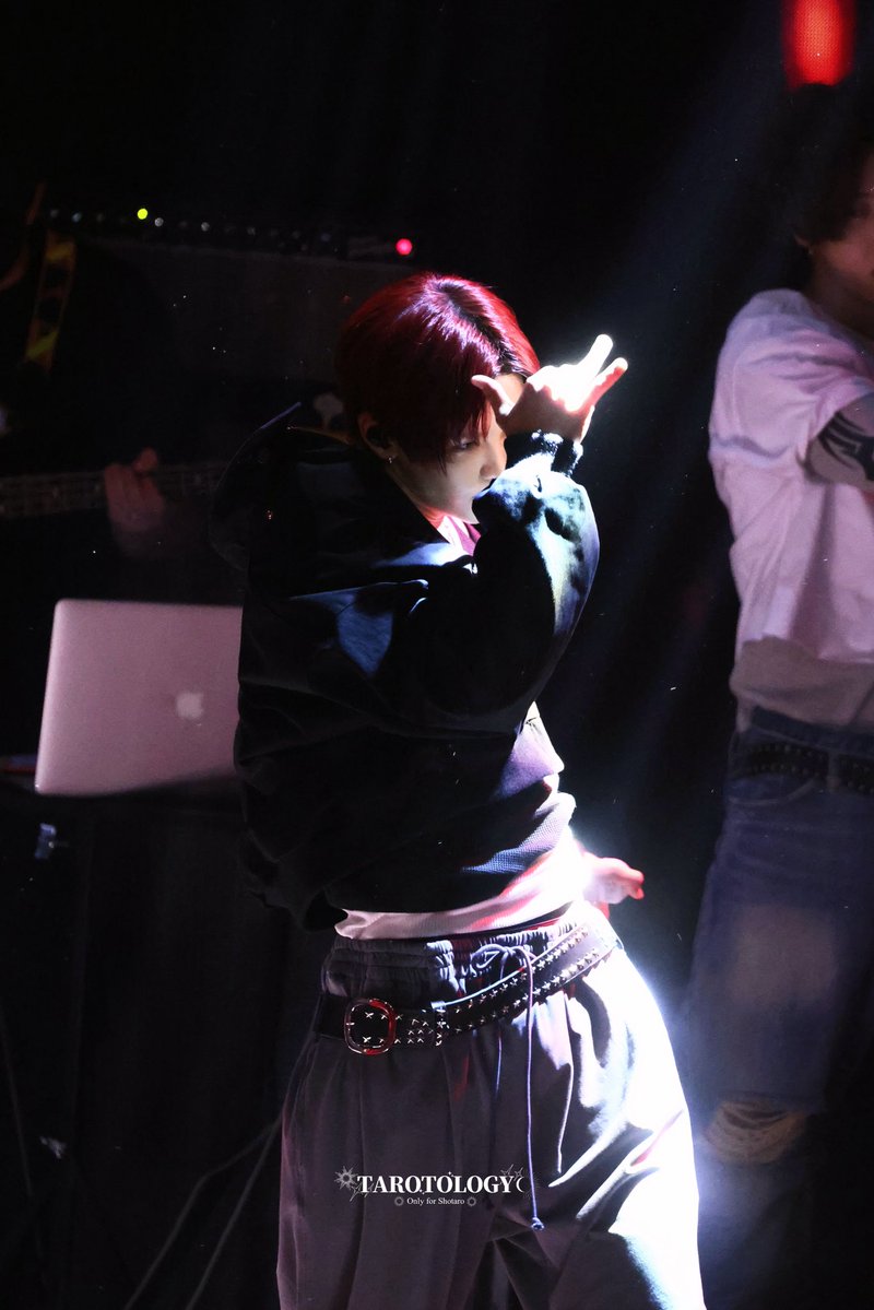 TAROTOLOGY tweet media