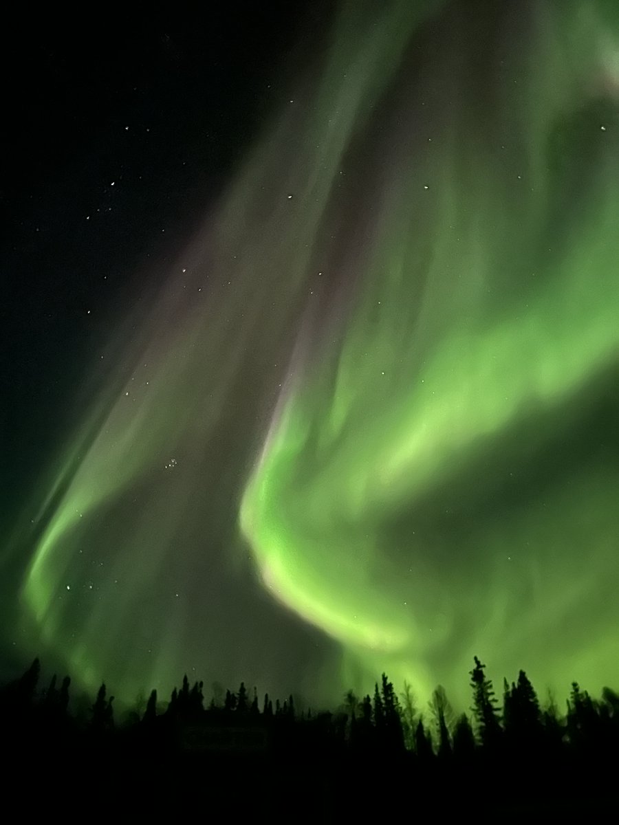 과학과 사람들 tweet media