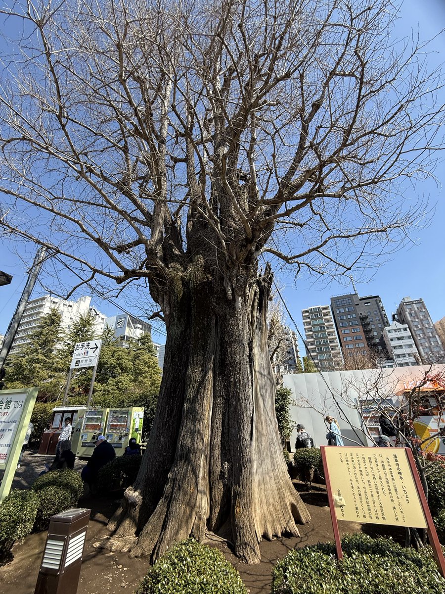 栗田昌裕 tweet media