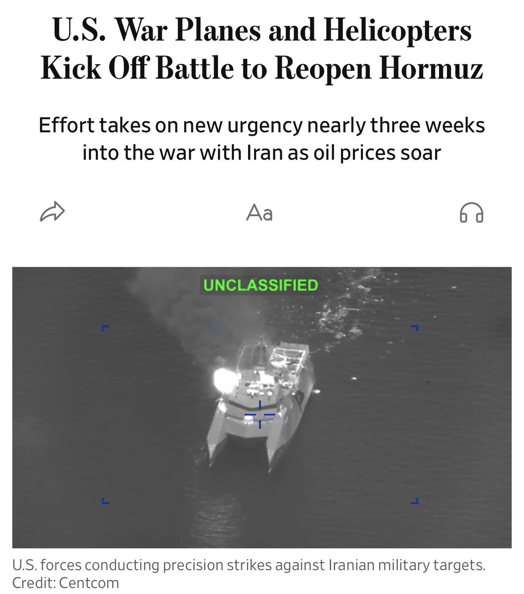 THE ISLANDER tweet media