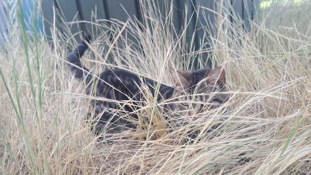 Drake The Drake tweet media