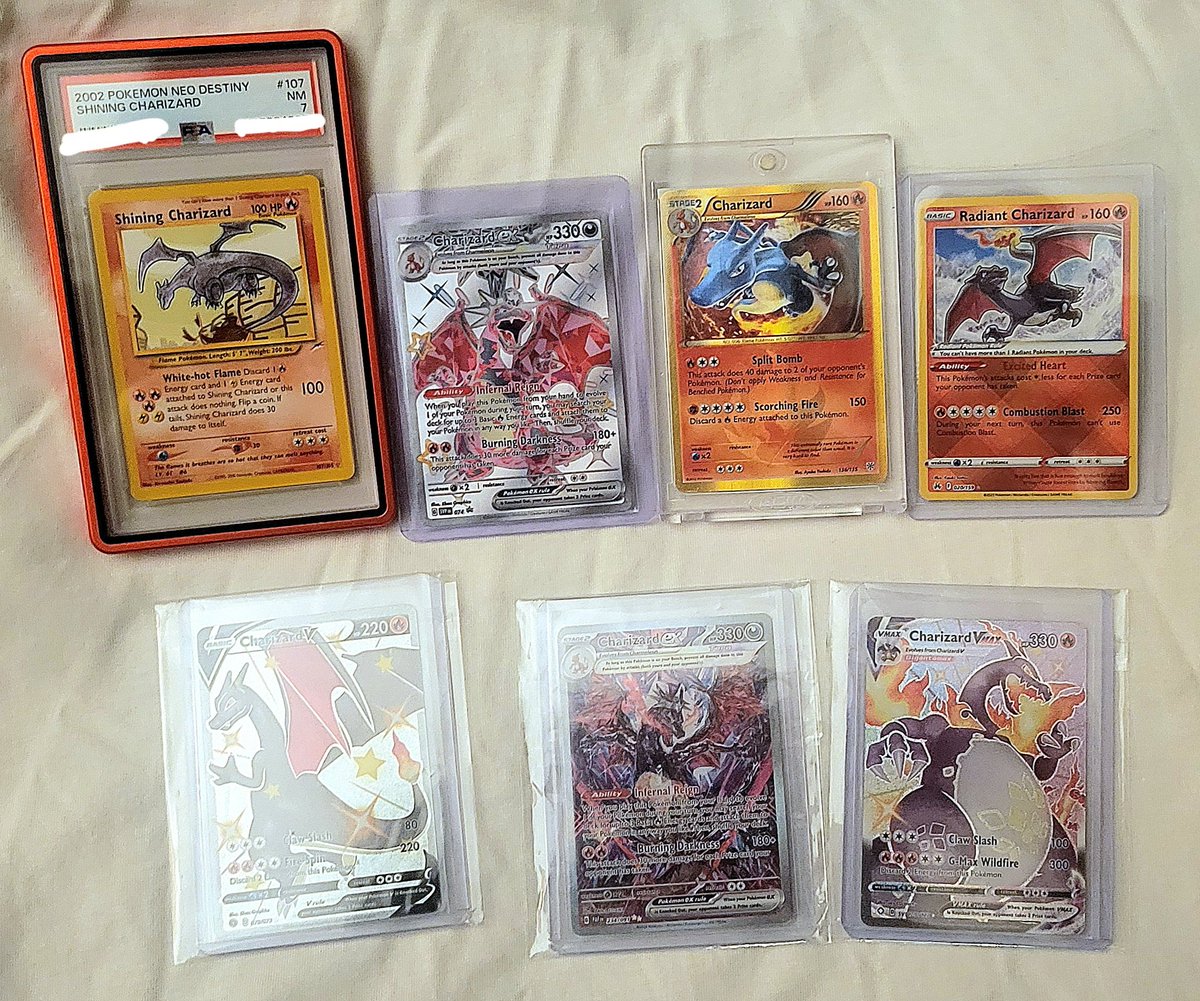 Cedar Point's Head Charizard 🔥 tweet media