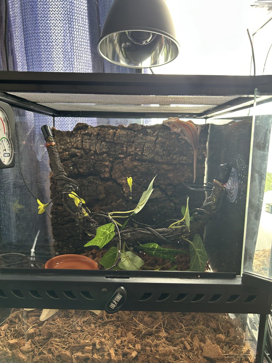 ゆーえぬ tweet media