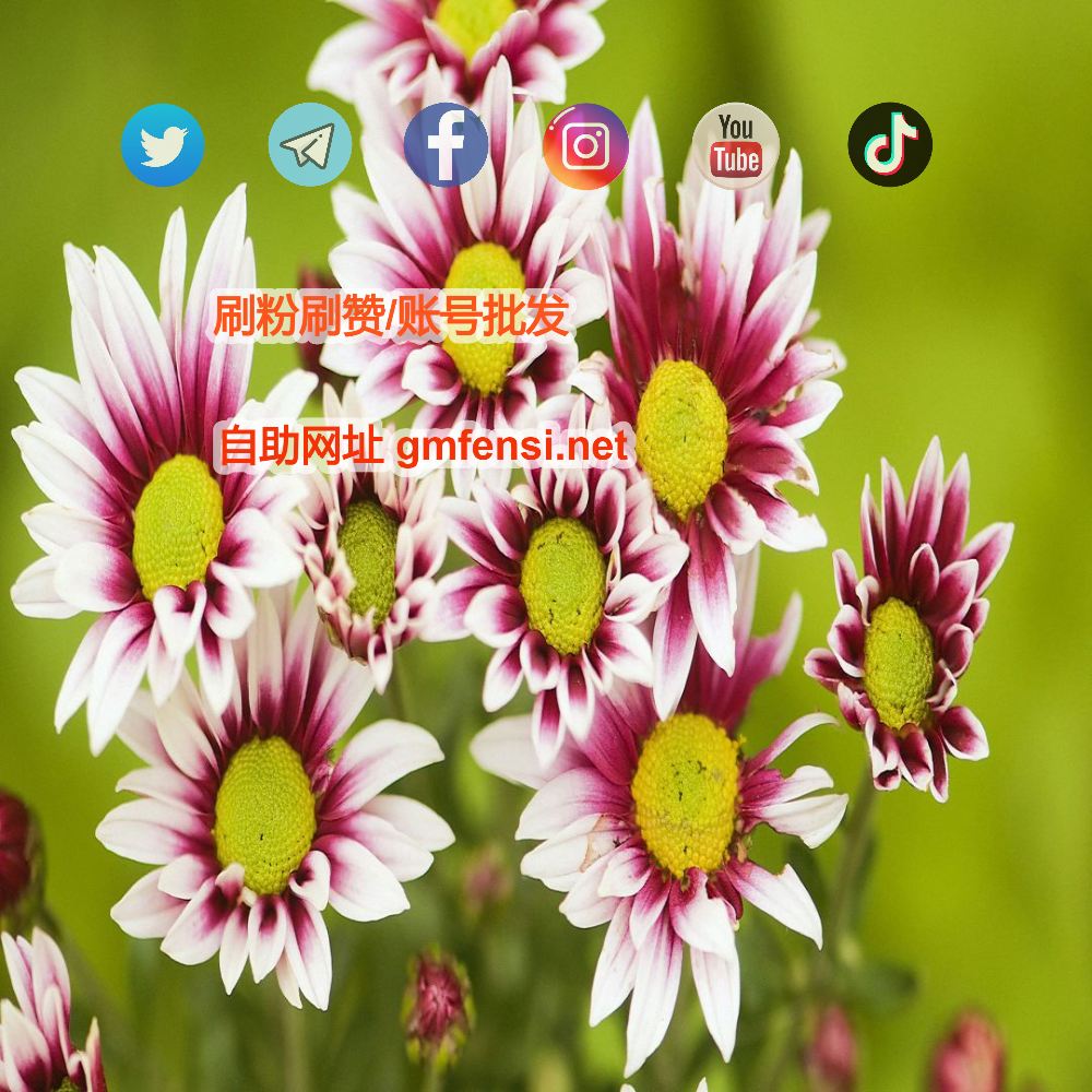 推特账号 x
推特刷粉丝