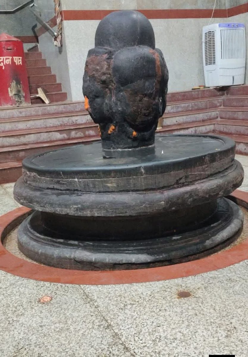 Kajal Singh (Kaju) tweet media